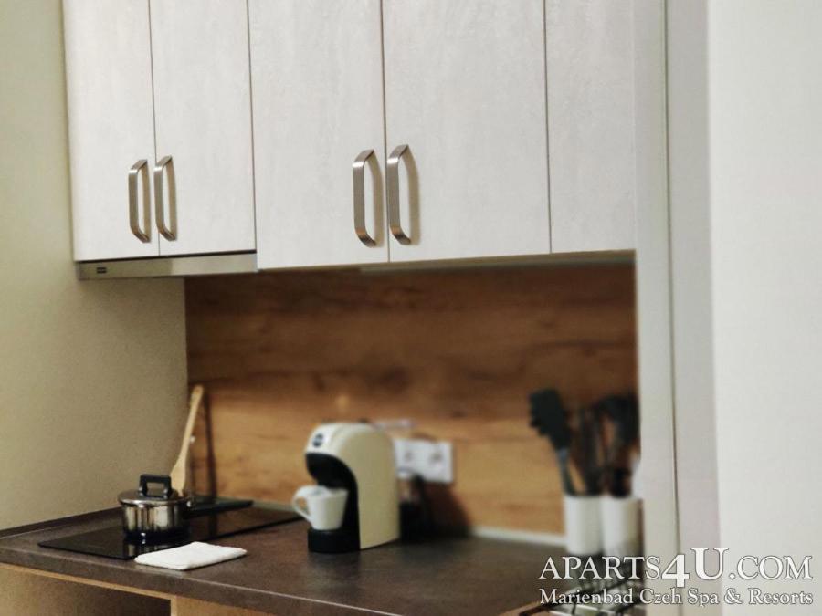 Apartment Grun Wald マリアーンスケー・ラーズニェ エクステリア 写真